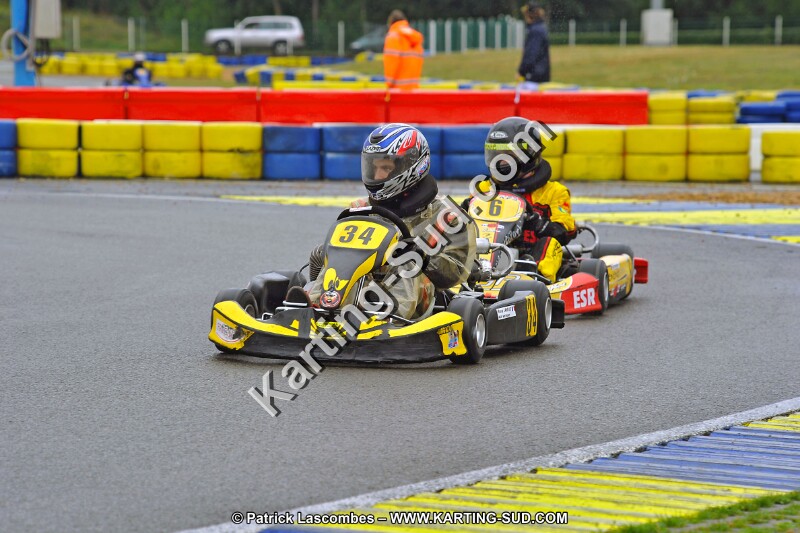 DSC_ (1041).jpg